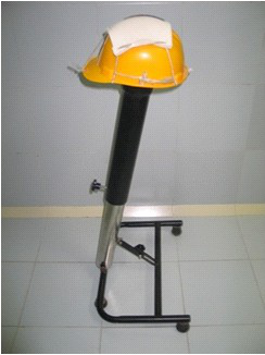 ADJUSTABLE HAIR PLANTATION MODEL SET not Found